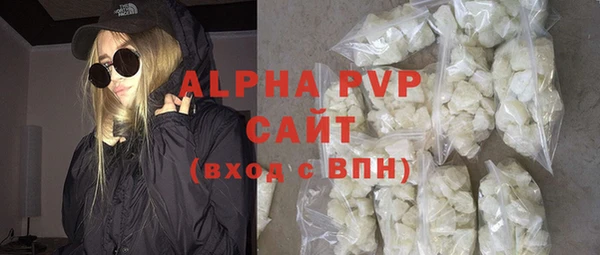стафф Новодвинск