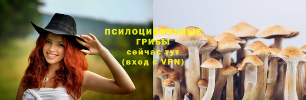 гашик Домодедово