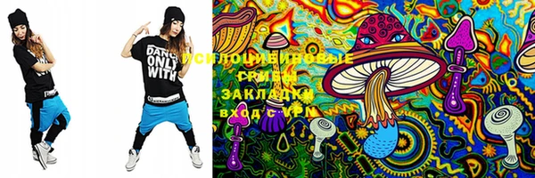 стафф Новодвинск