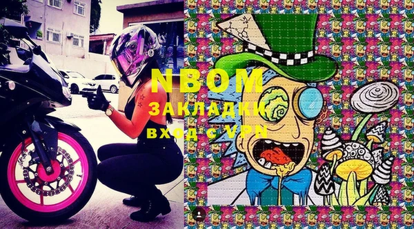 стафф Новодвинск