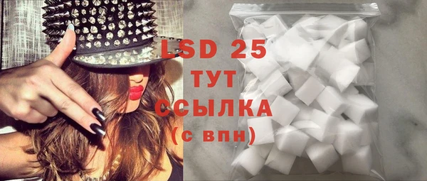 стафф Новодвинск