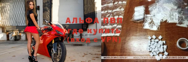 молекула духа Новокубанск