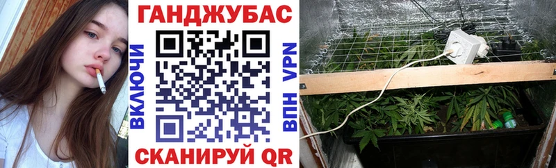 дарк нет наркотические препараты  kraken ТОР  Чехов  цена   Шишки марихуана White Widow 